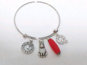 Silver Red Pill Bangle